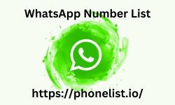 WhatsApp Number List