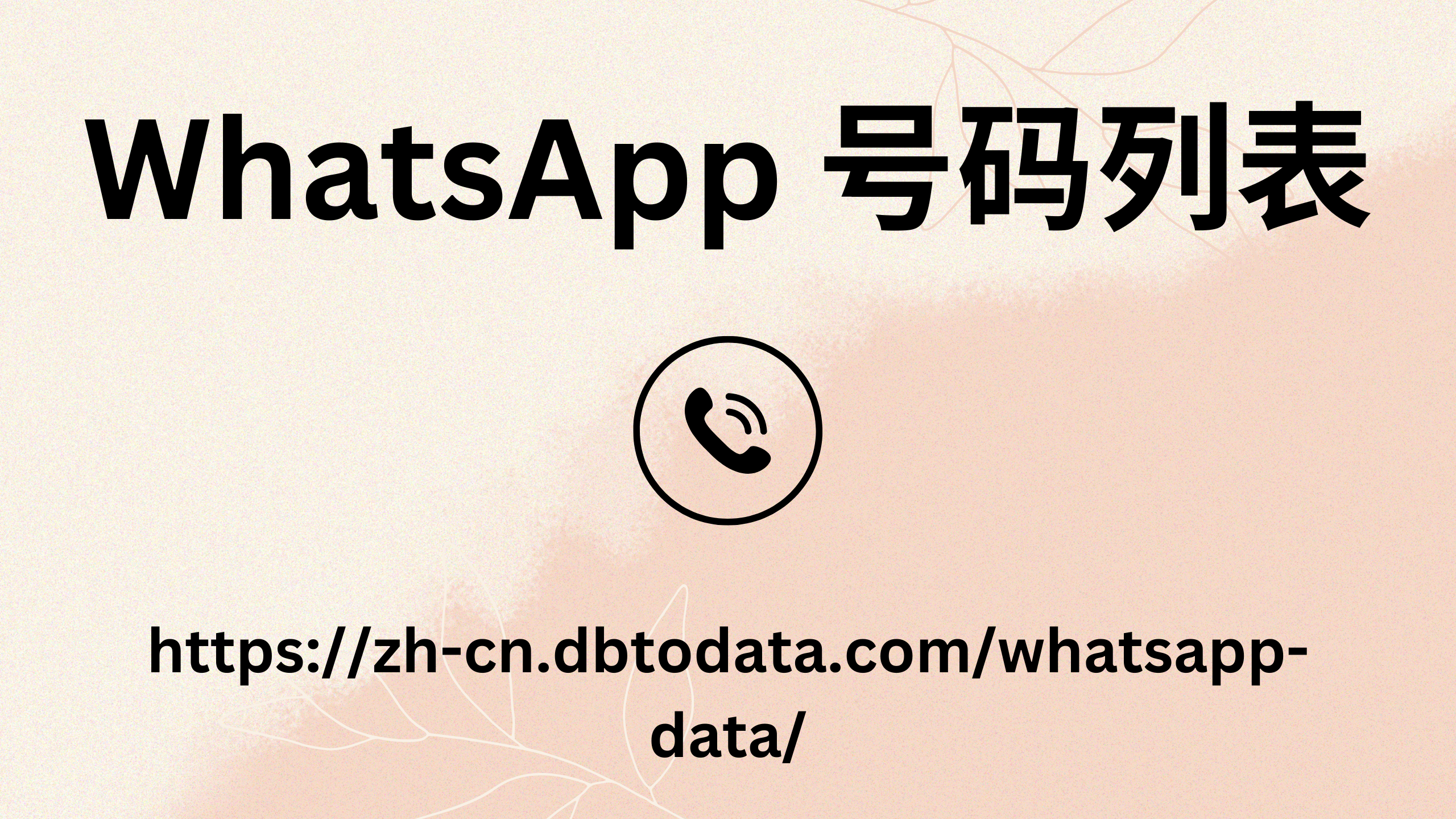 WhatsApp 号码列表